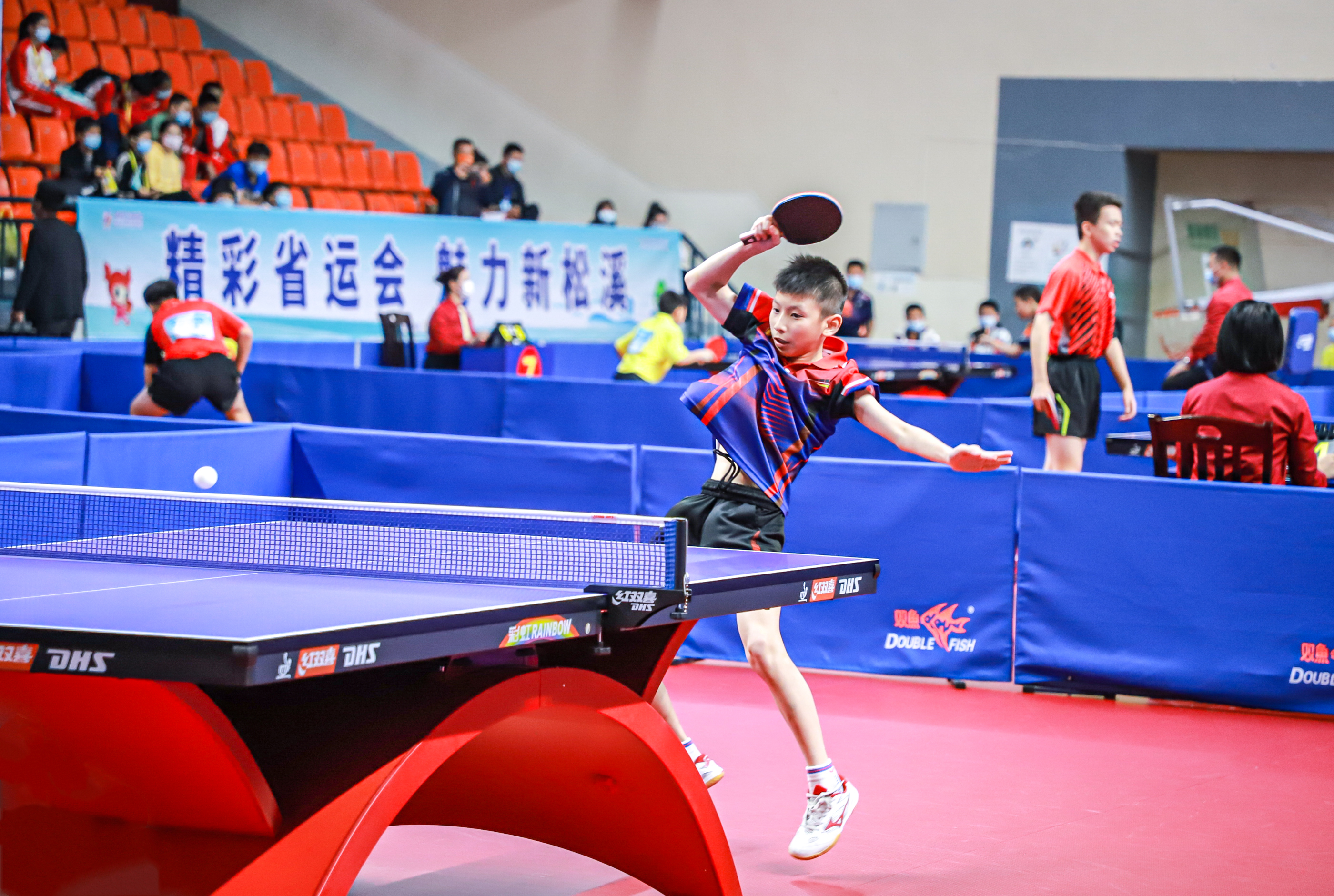 才是真正的 才是真正的