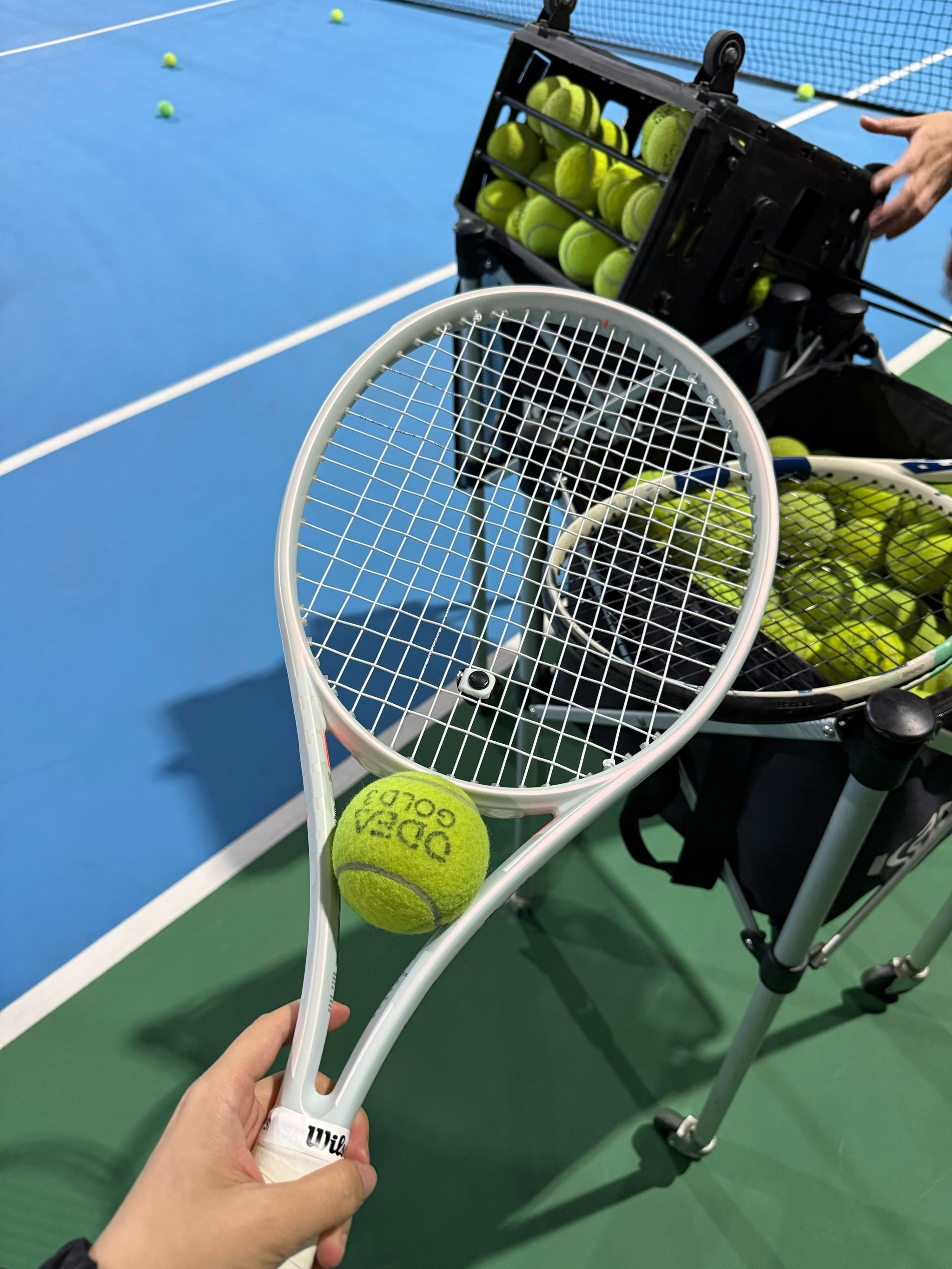 体系的泰山 体系的泰山