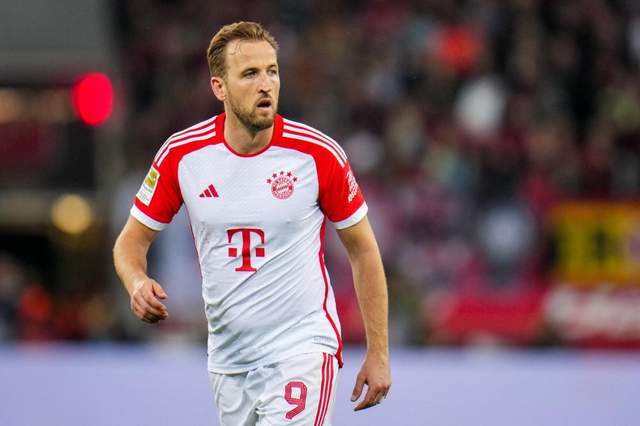 海高大的拦 海高大的拦